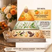 Beton Kütük - Mini - Bodrum Mandarin Soya Mum